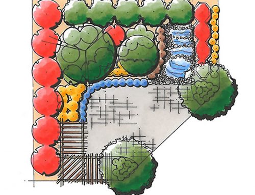 Festival of Flowers 2011