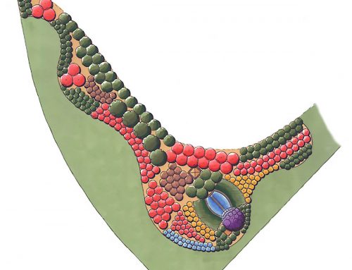 The Preserve Apartments